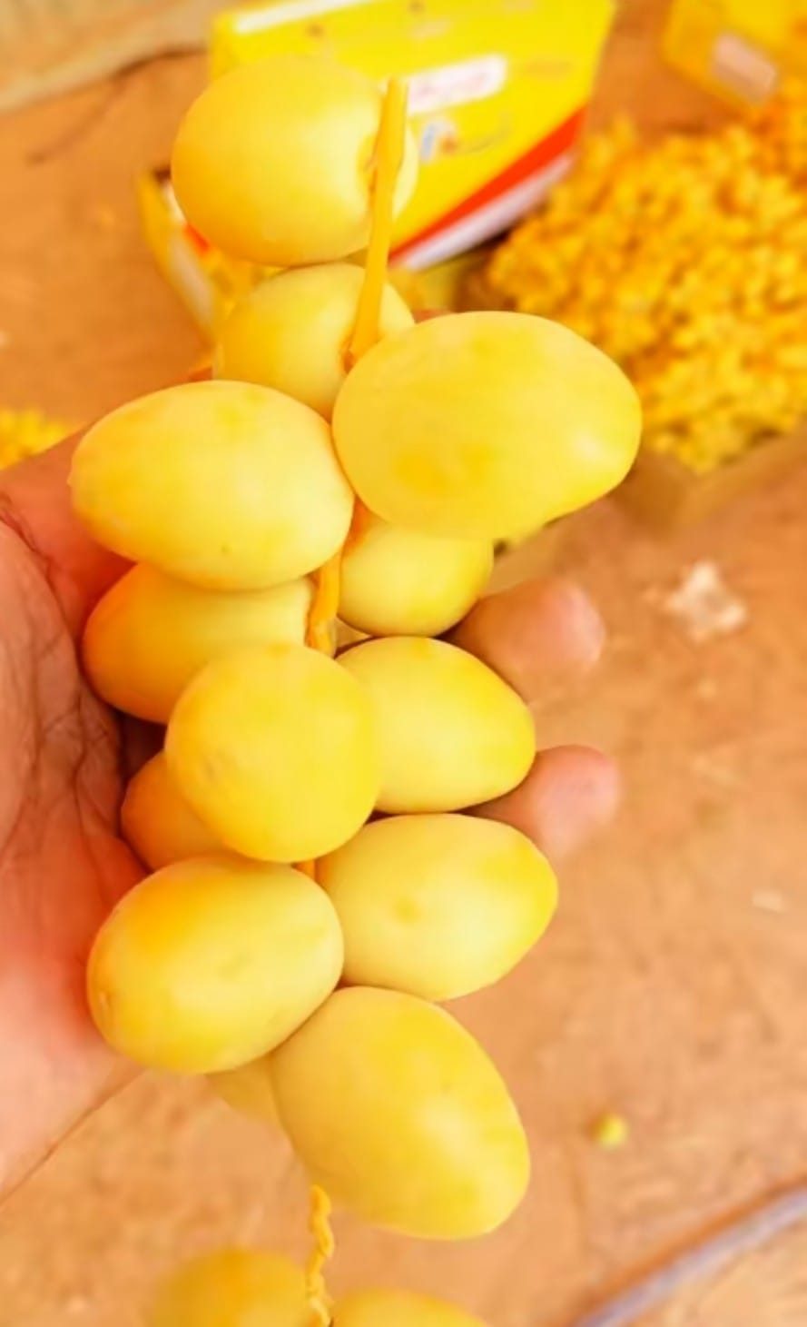 ثمار الجنة — مصغّرة 4