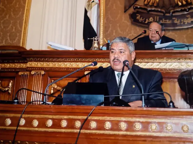 صورة محمد عبد التواب مصطفى عمارة