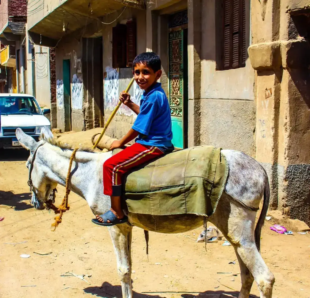 طفل من أطفيح على حمار في شارع داخل المدينة